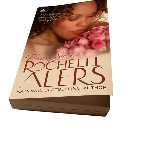Taken By Storm By Rochelle Alers Paperback 2008 Romance Novel - Picture 5 of 8
